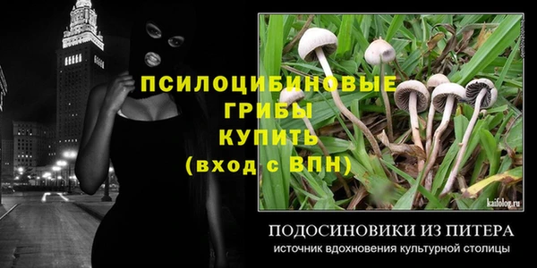 винт Баксан